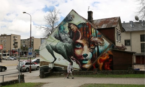 siauliai graficiai gyvunas 15513