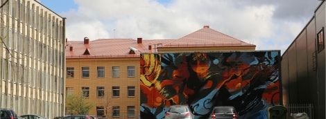 siauliai graficiai kiemas 15514