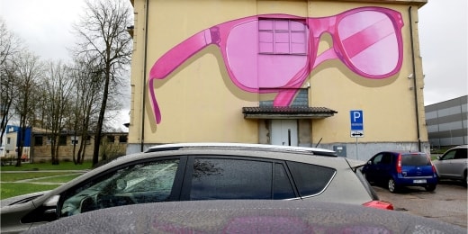 siauliai graficiai roziniai 15515