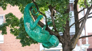 Chameleonas bulvare S.Jankauskas
