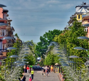 Šiaulių bulvaras  (7)