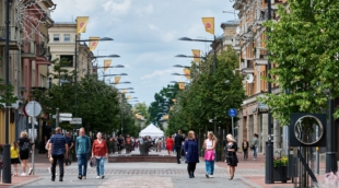 Šiaulių bulvaras A.Kučas