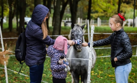 Gamtininkų centro žirgynas (8)