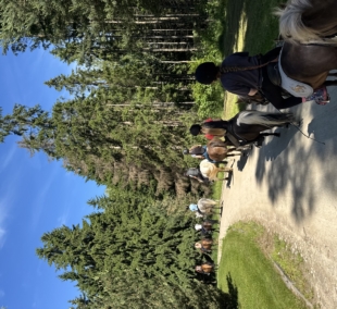 Šiaulių jaunųjų gamtininkų centro žirgynas 4