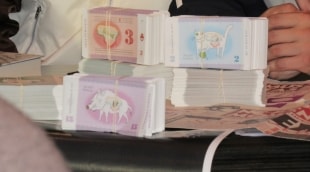 siauliu naktys atsiskaitymui 15523
