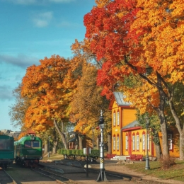 Aukštaitijos siaurukas 2