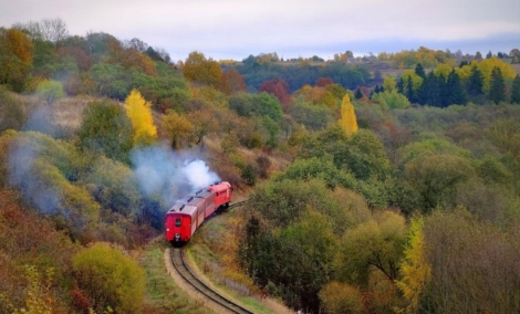 Aukštaitijos siaurukas 6