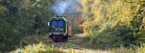 Aukštaitijos siaurukas 7