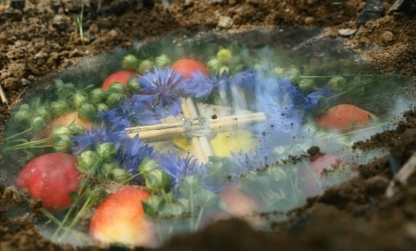 siauliai sekretas grazu 15537