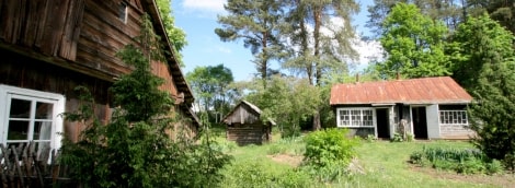 real is beautiful 15592363565cf00f045e160