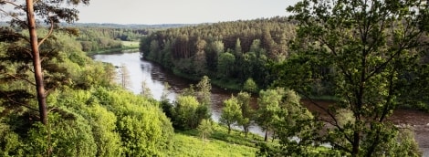 iStock 1288719243