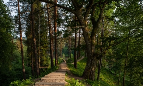 iStock 1288719257