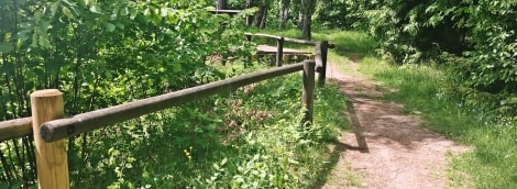 skevoniu atodanga poilsis 10673