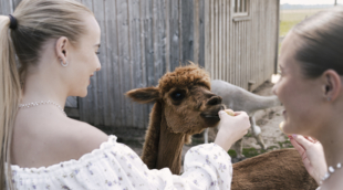 Sodeliškių dvaras 13