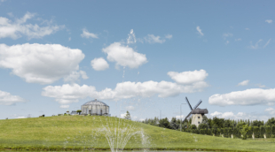 Sodeliškių dvaras 21