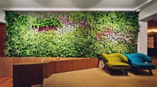 spa vilnius anyksciai aplinka