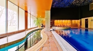 poilsis druskininkuose spa vilnius baseinas 13665