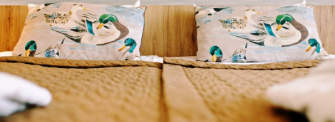 poilsis druskininkuose spa vilnius dvivietis lova 10467