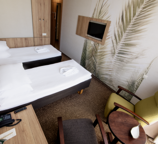 SPA Vilnius Druskininkai, dvi lovos 4