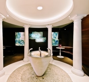 poilsis druskininkuose spa vilnius biuvete 10435