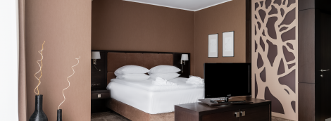SPA Vilnius Druskininkai, studija be balkono 3