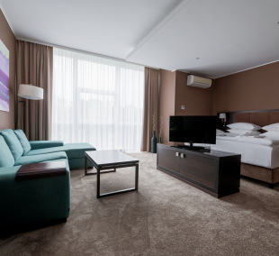 SPA Vilnius Druskininkai, studija be balkono 5