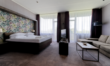 SPA Vilnius Druskininkai, studija su balkonu. 2
