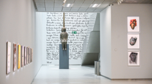 Stasys Museum P. Zidonio (27)