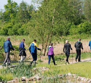 aktyvus poilsis paliesiaus dvare diena 12392