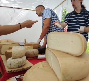 Sūrių festivalis Druskininkuose 2