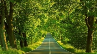 nature wallpapers 8 14429