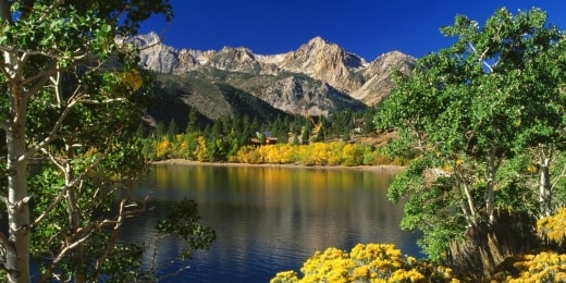 wild nature wallpaper 1 14431
