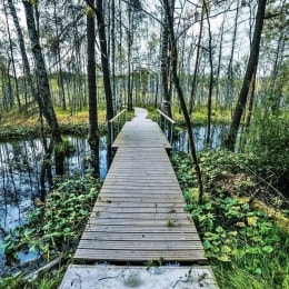 trakai tonyresort tiltelis