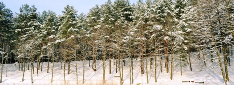 poilsis trakuose tonyresort ziema