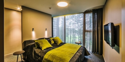 poilsis trakuose tonyresort vip svetaine 13525