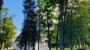 Tulpės sanatorija, Birštonas