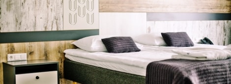 poilsis druskininkuose upa lova 9444