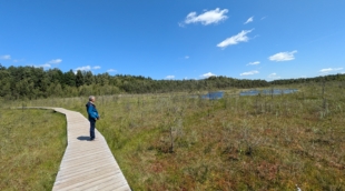 varniku pazintinis takas trakai 5 2