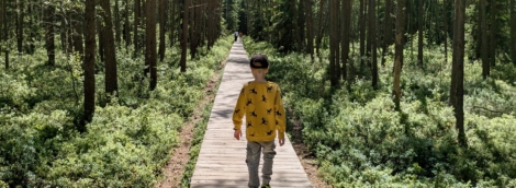 Varnikų pažintinis takas