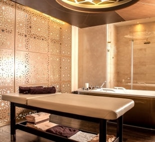 Vanagupė Palangoje spa