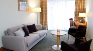Vanagupė Palangoje standartinis apartamentas
