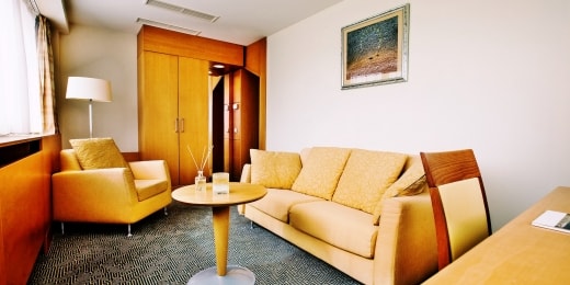 poilsis palangoje viesbutis vanagupe standartiniai apartamentai svetaine 9427