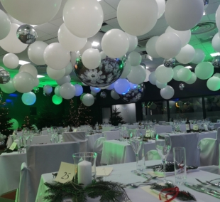 naujieji metai vanagupeje