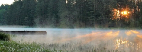 Linos Latvienes nuotr. Varėnos apylinkes