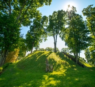 Veliuona (28)