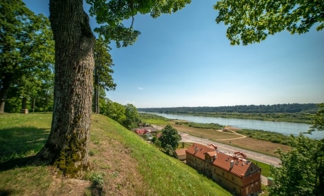 Veliuona (30)