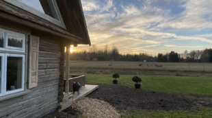 Vienkiemio oazė, kubilas