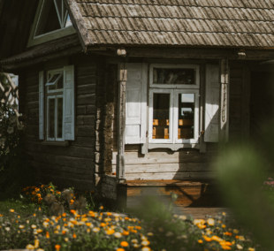 Vienkiemio oazė, Prie upelio namelis