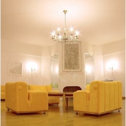vila auska palanga 6