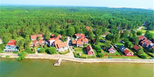 Vila baldininkas 20